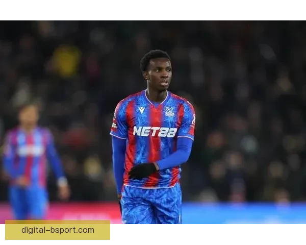 恩凯蒂亚转会水晶宫揭幕新篇章 英超新星加盟引发关注