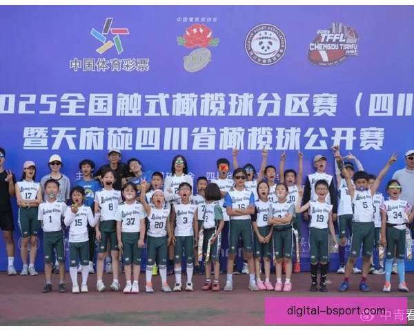 奥运会橄榄球种子分区影响，淘汰赛对阵格局生变